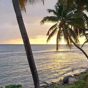 Seaside Serenity , Humacao Puerto Rico
